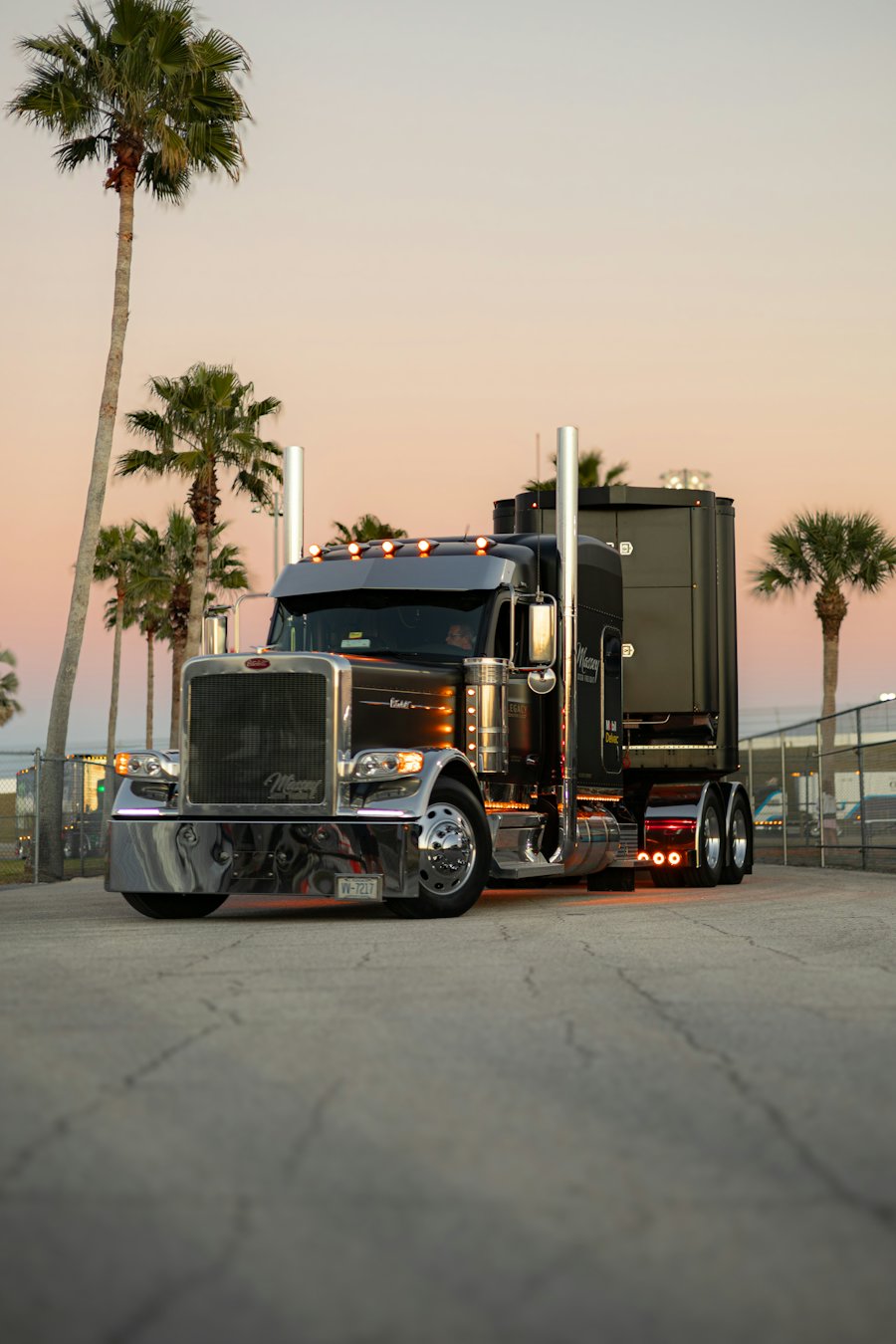 Tractocamión negro con palmeras al atardecer